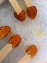 Making maple syrup taffy at the sugar shack in Quebec